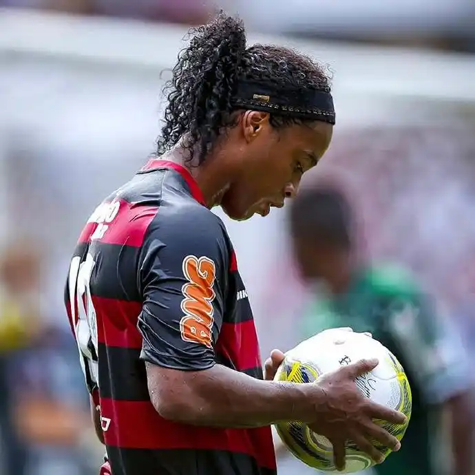 入了新的活 入了新的活